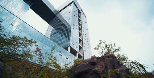 系統(tǒng)性創(chuàng)新 金螳螂的雙輪驅(qū)動(dòng)——裝配式裝修與BIM模式的建筑材料技術(shù)開發(fā)